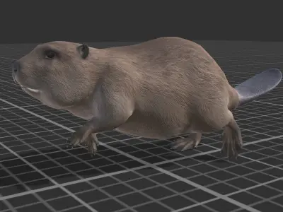 Pack of small animals Low-poly 3D model