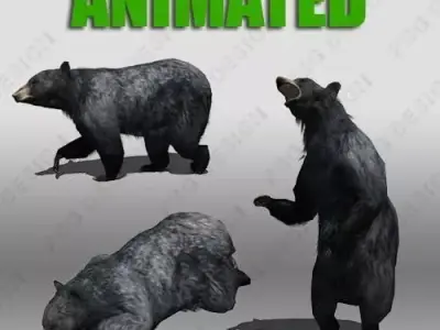 Black Bear Animated Low-poly 3D model