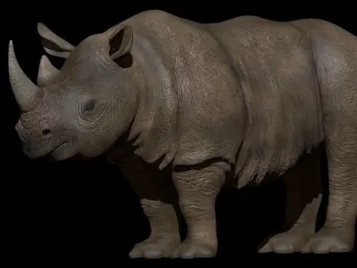 Rhino 3D Photorealistic Model with Uv and  2Texture  Low-poly 3D model