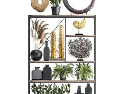 Shelf with reeds and plants coral decor 3D model