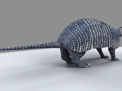 Armadillo 3D model