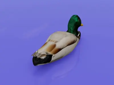 Duck 3D model floating in water Low-poly 3D model