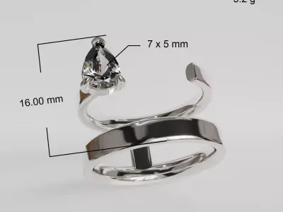 double ring 3D print model