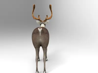 Reindeer model Game ready low poly 3D Low-poly 3D model