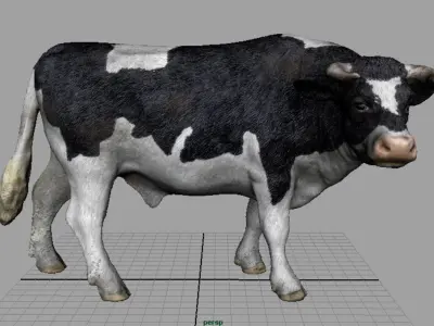Holstein Bull  Low-poly 3D model