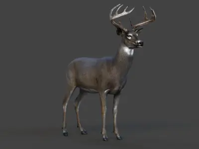 Male Deer Low-poly 3D model