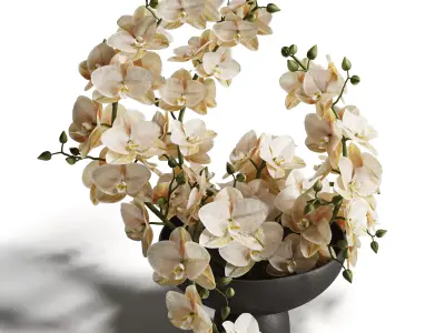 Sculpted Serenity Pink and White Orchids 3D model