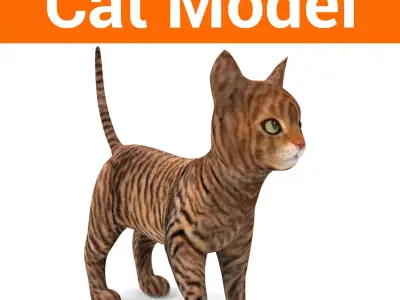 cute Cat model 3D pet Low-poly 3D model