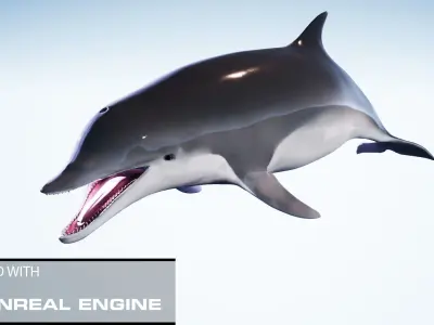 Realistic Animated Dolphin Low-poly 3D model