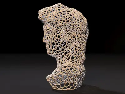 Statue Of David Michelangelo Head 3D print model
