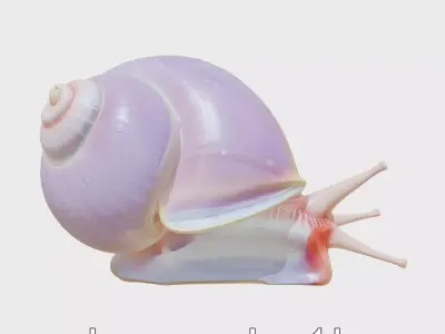 Violet-Shelled Sea Snail with Floating Ability Low-poly 3D model