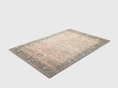 Arlo Home Woven Area Rug 3D model