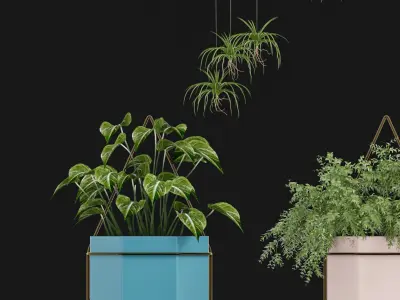 Modern Potting Plant 3D model
