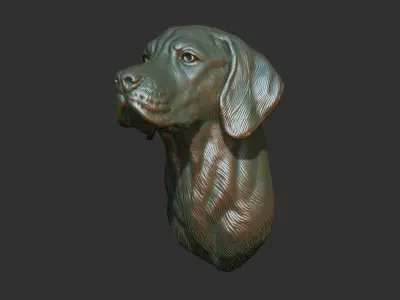 Hungarian Vizsla dog 3D print model