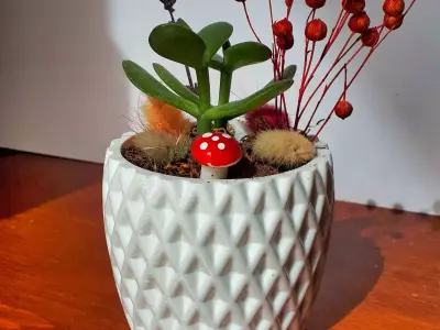 Potted Succulent and Plants  3D print model