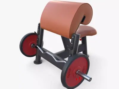 Curl bench 3D model