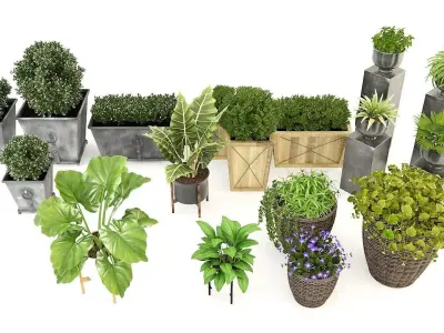 Potted Plant Collection 3D model