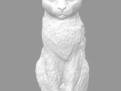 Cat for 3d printing 3D print model 3D model