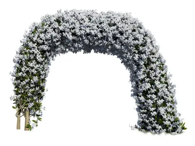 White Crepe Jasmine Arch 3D Asset Low-poly 3D model