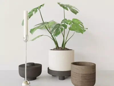 Decorationset Monstera 3D model