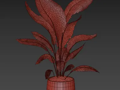 Indoor plant 016 3D model