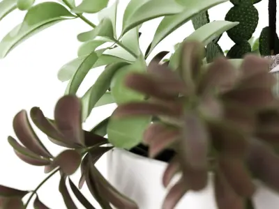 Plants 09 3D model