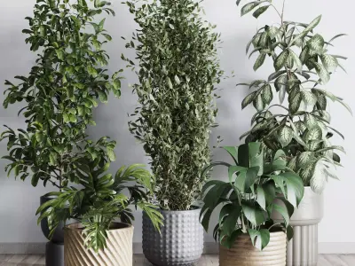 Collection indoor plant 277 pot concrete dirt vase 3D model