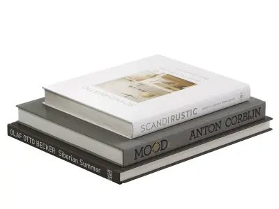 Coffee Table Books 4 3D model