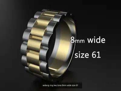 wideng  ring two tone 8mm wide 3D Model Pack