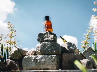 Rocks and Flowers rr 3D model