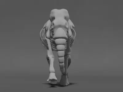 Elephant Skeleton 3D model