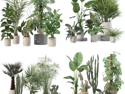 20 Photorealistic Flowers for Interiors - set 202 207 211 218 3D Model Collection