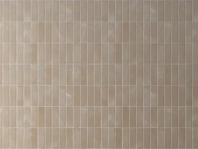 Tile Matte Porcelain Rectangle - Set 24  Texture