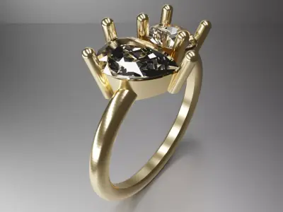 Toi et Moi Ring 3D print model
