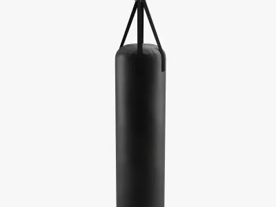 Punching Bag 3D model