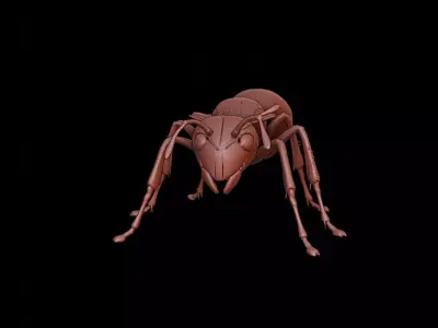 Ant Animal Sculpture 3D print model get