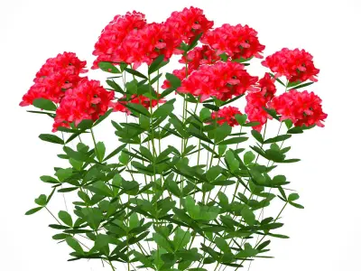 Azalea - Rhododendron - Red Low-poly 3D model