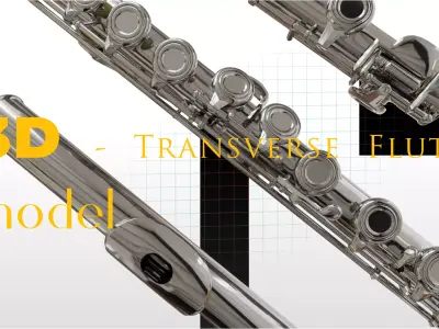 Model of a Transverse Flute 3D model