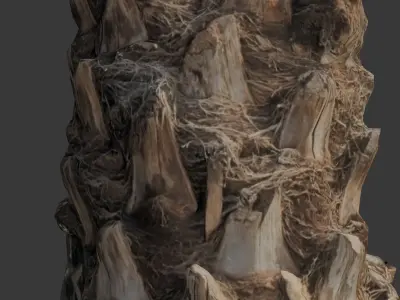 Palm Tree Trunk 3D Scan Low-poly 3D model