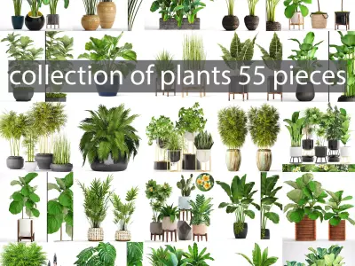 Collection of plants 55 pieces  3D model
