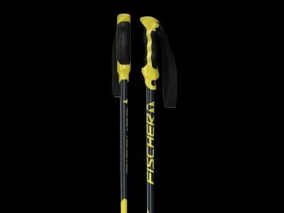 Running Ski 3D model