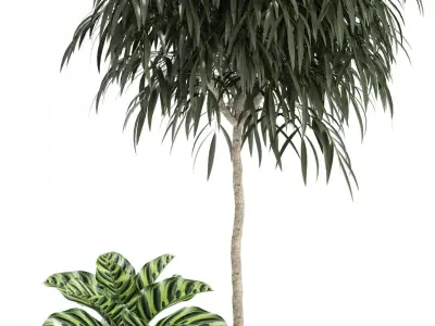 Plants collection 111 3D model