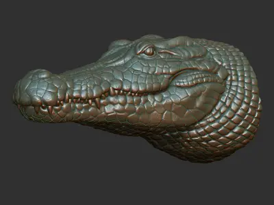 Crocodile bust 3D print model