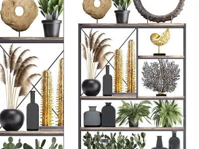 Shelf with reeds and plants coral decor 3D model