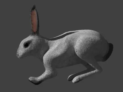 Rabbit BW ANIMATED FUR 3D model