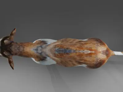 Goat 01 Rigged in Blender  Low-poly 3D model