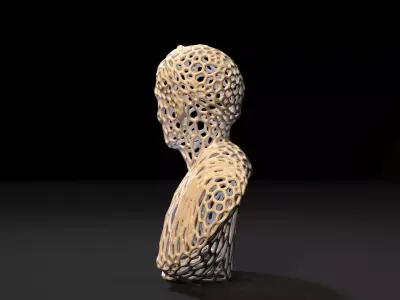 Bust of a priest Voronoi 3D print model