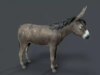 donkey Low-poly 3D model