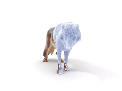 Majestic Wolf Fur model pack Low-poly 3D model
