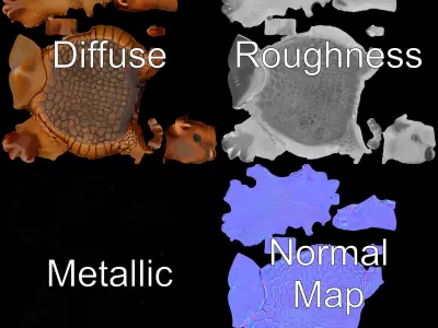 Armadillo Model Pack  High Detail Textured D Model Low-poly 3D model